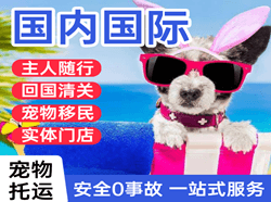 梧州西江机场货运国际宠物托运 【国